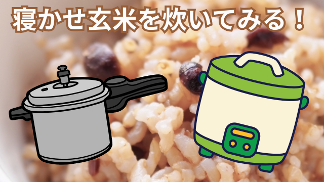 寝かせ玄米を炊いてみる!