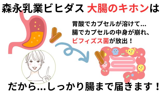 森永ビヒダス大腸のキホン