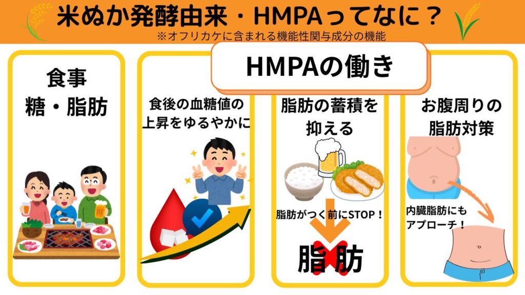 HMPAの働き