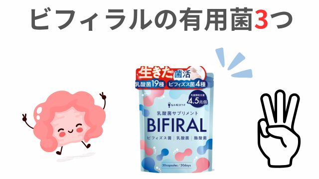 ビフィラルの有用菌3つ