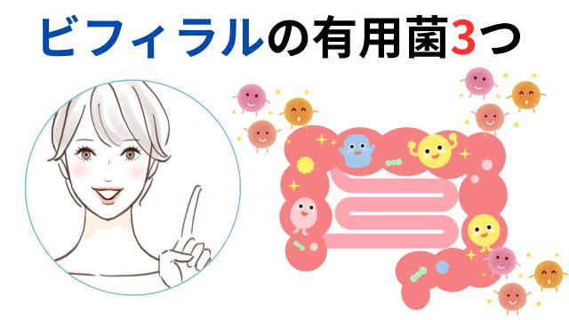 ビフィラルの効果をもたらす有用菌3つ