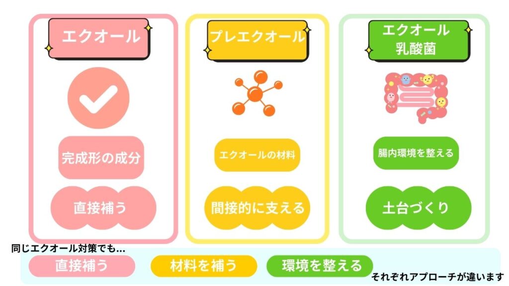 エクオール・プレエクオール・エクオール乳酸菌図解