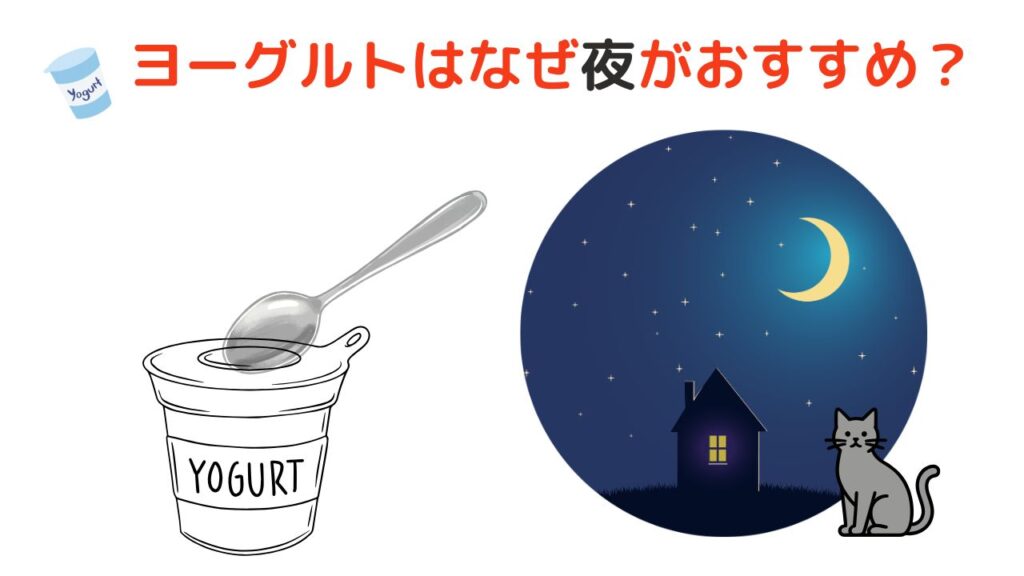 ヨーグルトはなぜ夜がおすすめ？
