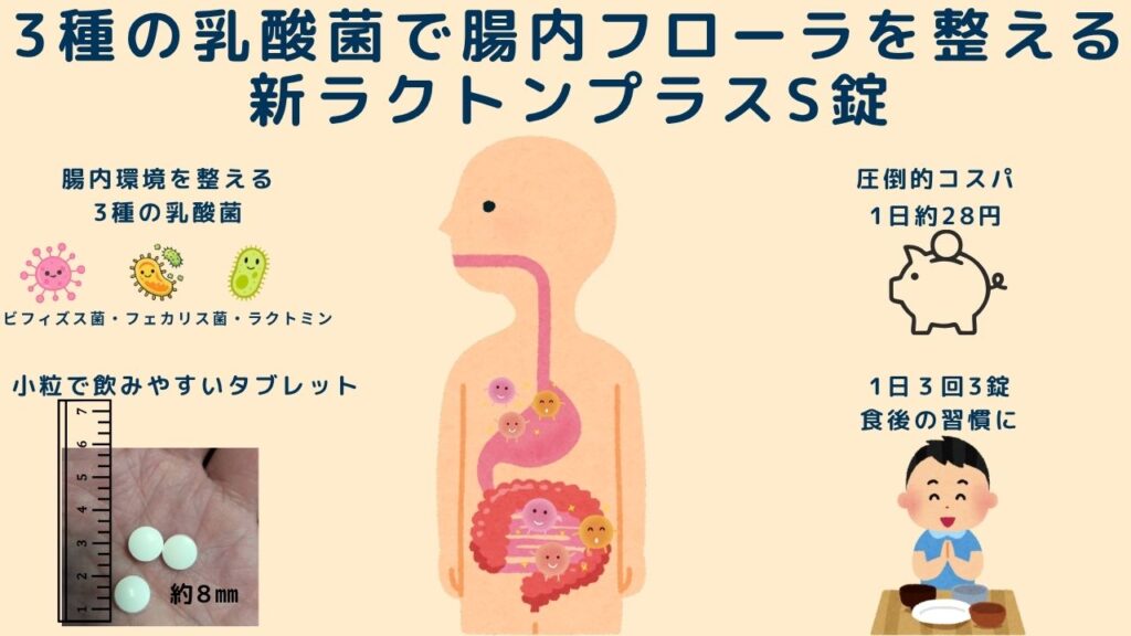 3種の乳酸菌で腸内フローラを整える