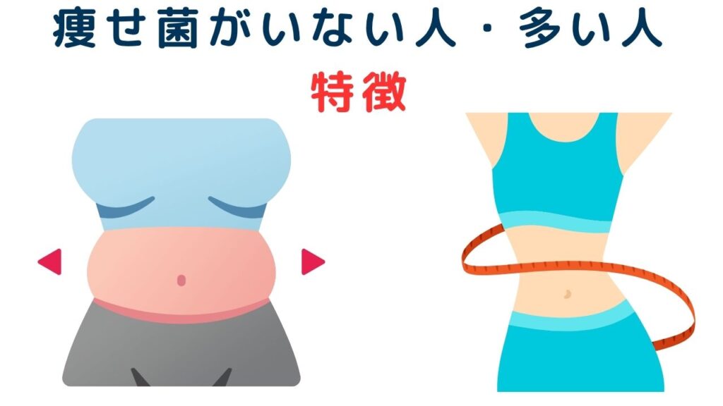 痩せ菌がいない人・多い人
特徴