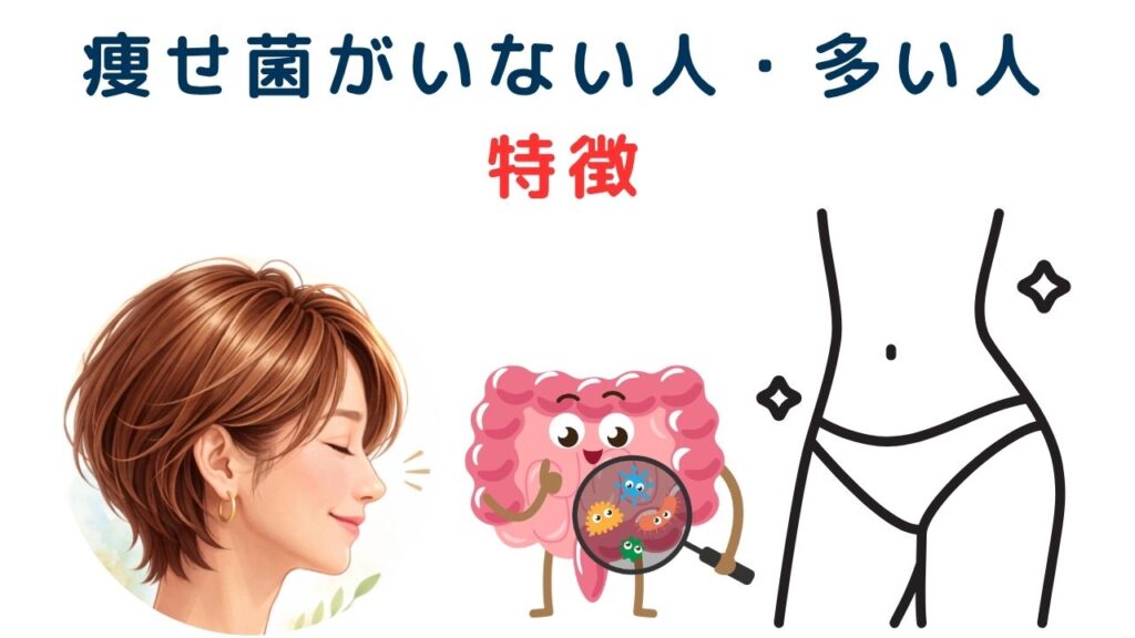 痩せ菌がいない人・多い人 特徴